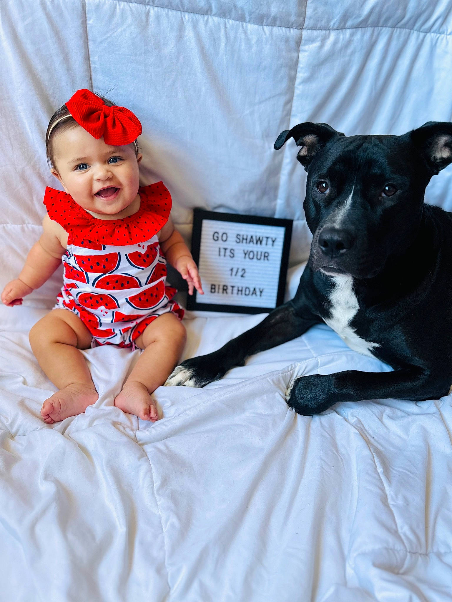 Charlotte-grace is registered to the contest to win money with this photo: baby, baby_products, baby_toddler_clothing, carnivore, child, companion_dog, dog, dog_breed, fashion_accessory, happy, hat, headwear, jewellery, laptop, linens, pattern, person, pink, sitting, sock