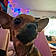 Roxie