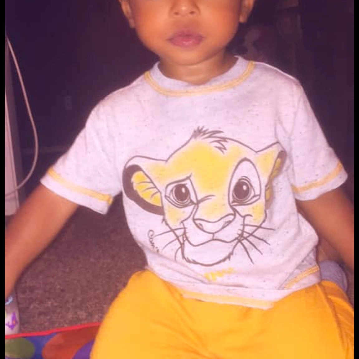 Javari