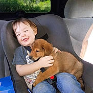 Huntley joined the competition — help win amazing prizes! brown_dog, car, car_seat, child, cuddling, denim, dog, family, happy, joy, outdoor, pet, portrait, puppy, safety_harness, smiling, sunlight, toddler, trees, vehicle