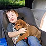brown_dog, car, car_seat, child, cuddling, denim, dog, family, happy, joy, outdoor, pet, portrait, puppy, safety_harness, smiling, sunlight, toddler, trees, vehicle
