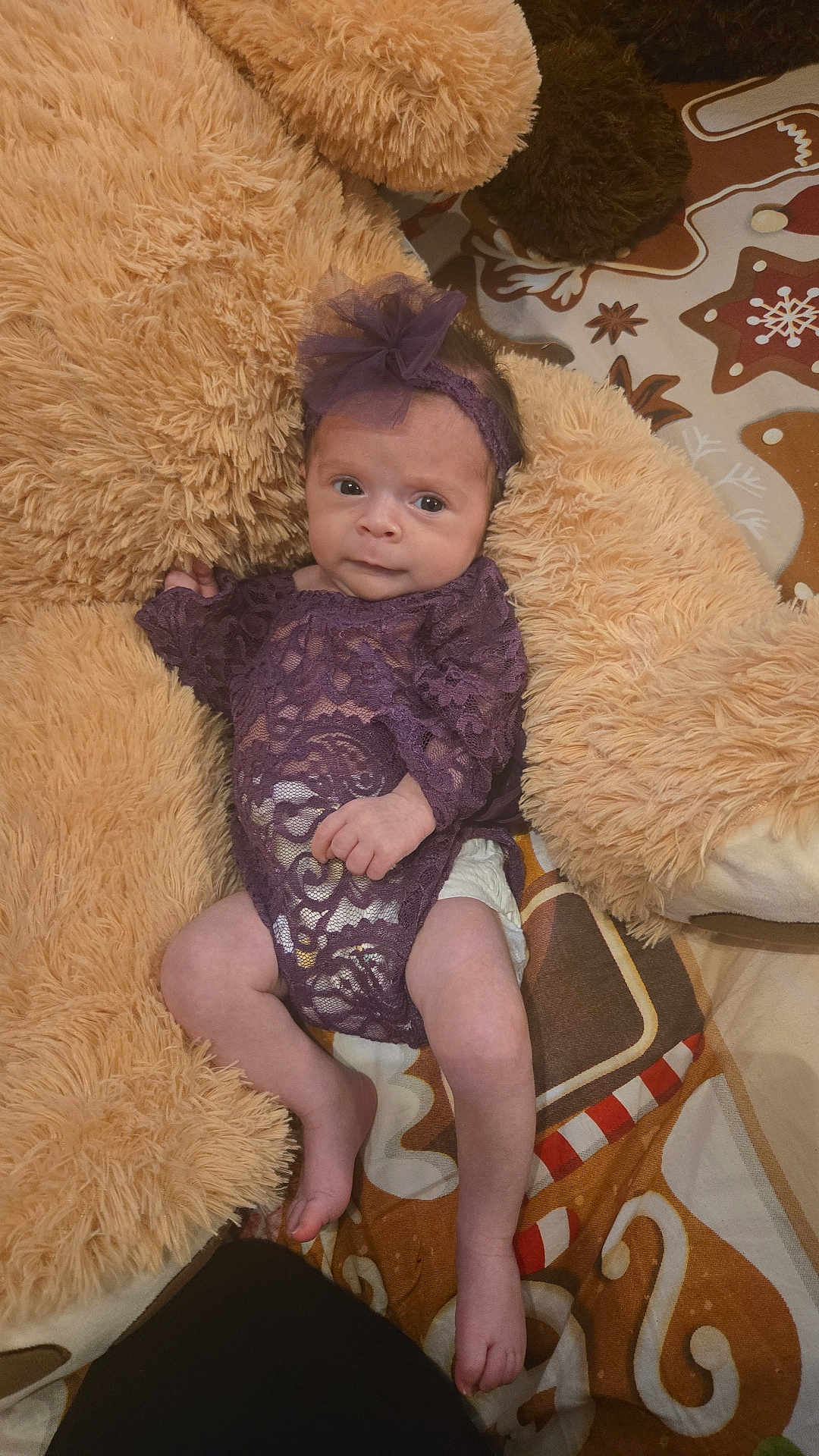 Romy a rejoint le concours — aidez-le/la à gagner de superbes lots ! baby, infant, purple_lace, headband, teddy_bear, plush, blanket, patterned_blanket, cute, soft_toy, child, newborn, resting, indoors, portrait, clothing, person, small, cozy, comfort