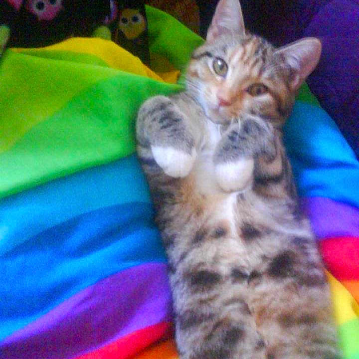 Bubba is registered to the contest to win money with this photo: