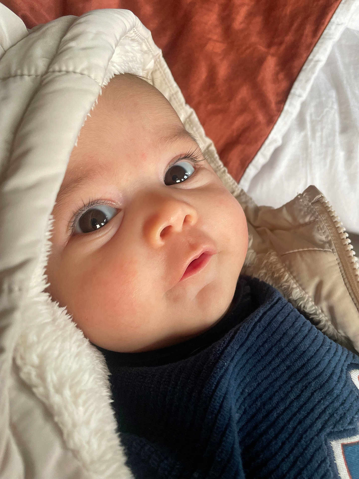 Lilou a rejoint le concours — aidez-le/la à gagner de superbes lots ! baby, child, face, eyes, hood, jacket, clothing, infant, portrait, closeup, cute, warm, indoor, soft_texture, expression, skin, curious, cozy, young, person