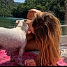 dog, person, long_hair, outdoor, lake, water, trees, nature, pink_towel, sunlight, affection, pet, relaxation, summer, animal, canine, friendship, recreation, wildlife, scenic