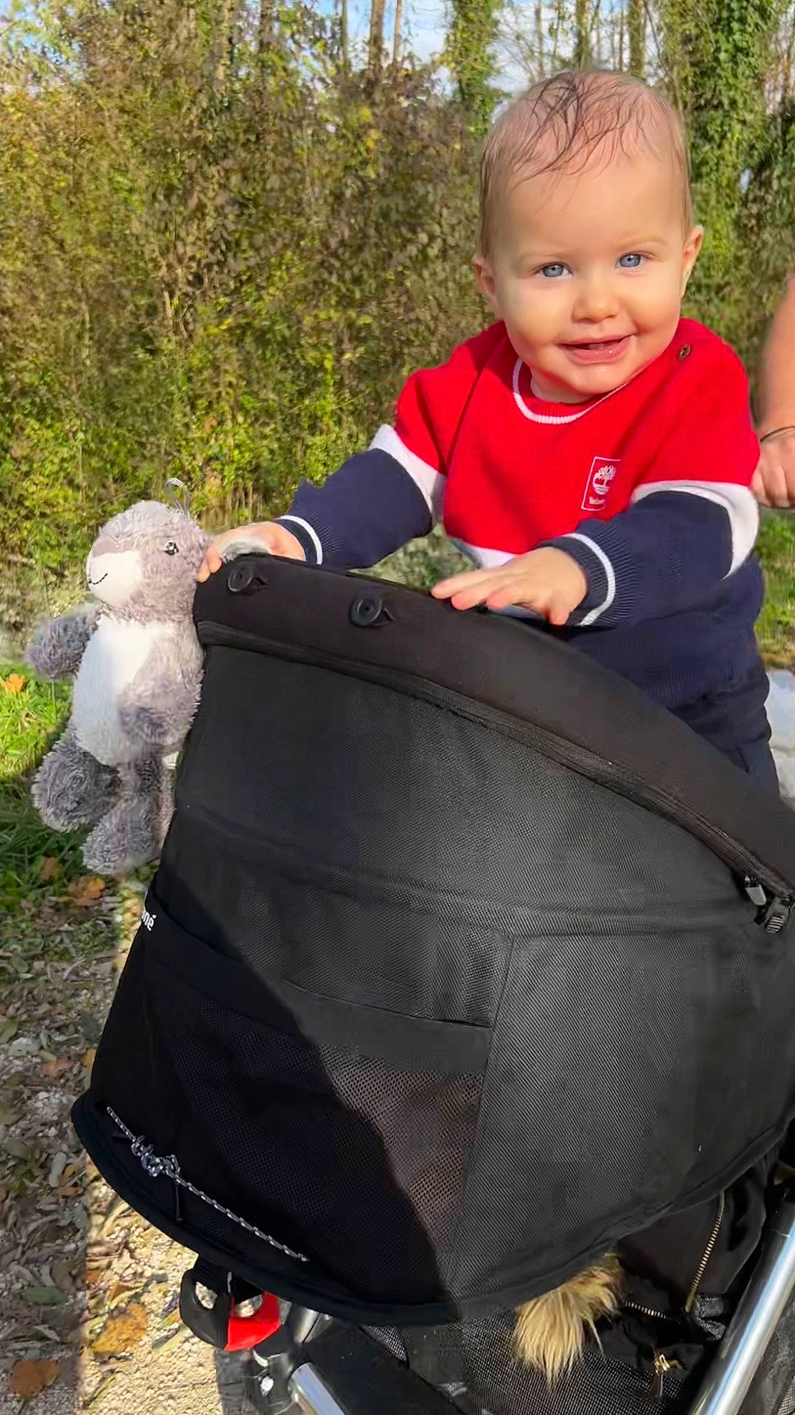 Livio participe au concours pour gagner de l'argent avec cette photo : baby, baby_carriage, baby_products, baby_safety, baby_toddler_clothing, bag, child, grass, happy, joy, leisure, luggage_and_bags, people_in_nature, person, photograph, plant, recreation, sitting, smile, tire