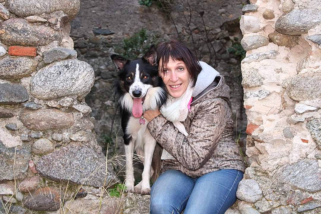 Django participe au concours pour gagner de l'argent avec cette photo : border_collie, dog, dog_breed, dog_breed_group, dog_hiking, dog_like_mammal, joy, karelian_bear_dog, person