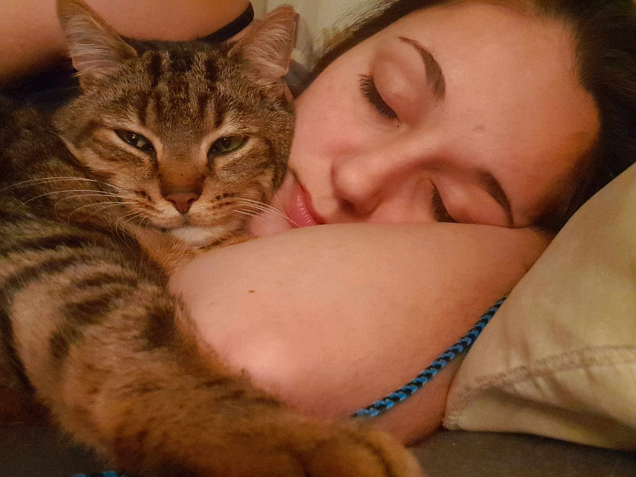 Chaton