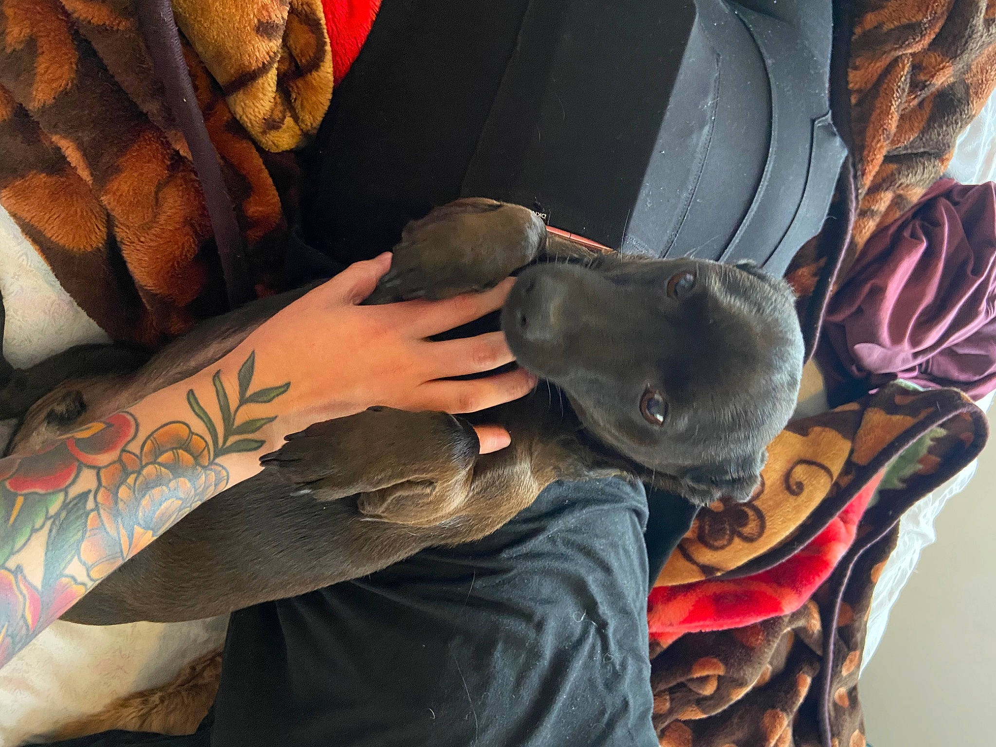 Finn joined the competition — help win amazing prizes! art, automotive_lighting, bumper, comfort, elbow, fashion_accessory, finger, hand, human_leg, joint, knee, nail, personal_protective_equipment, sleeve, temporary_tattoo, thigh, vehicle_door, vertebrate, wood, wrist