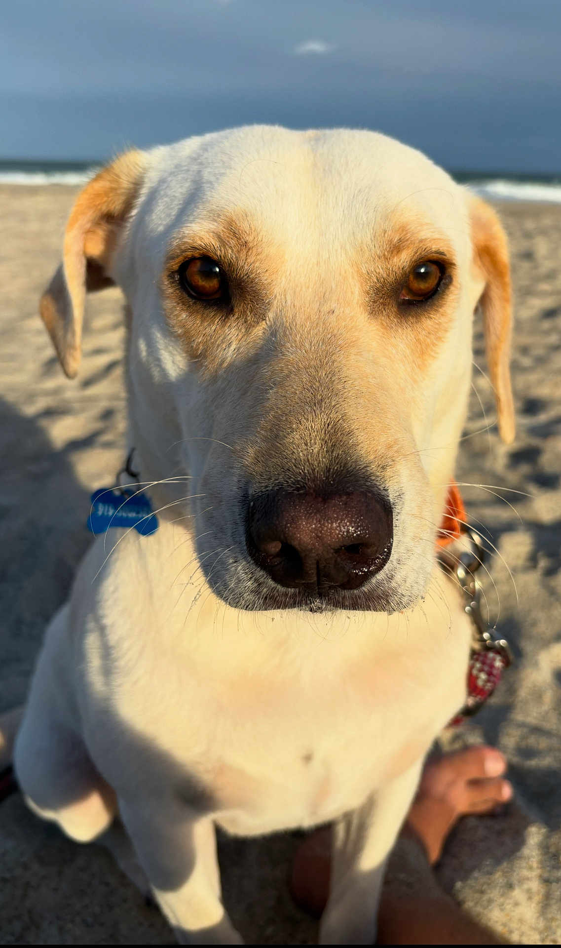 Charlie