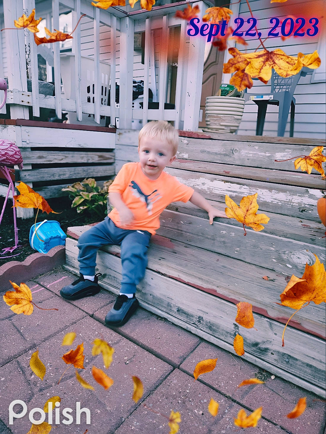 Kash is registered to the contest to win money with this photo: autumn, child, deciduous, flooring, fun, joy, leisure, orange, person, play, recreation, sidewalk, sitting, street, t_shirt, toddler, tourism, travel, vacation, world