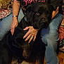 Bear is registered to the contest to win money with this photo: dog, black_dog, person, jeans, hand, tattoo, bracelet, ring, couch, floral_pattern, indoor, floor, pet, companion, sitting, comfort, home, casual_clothing, affection, animal