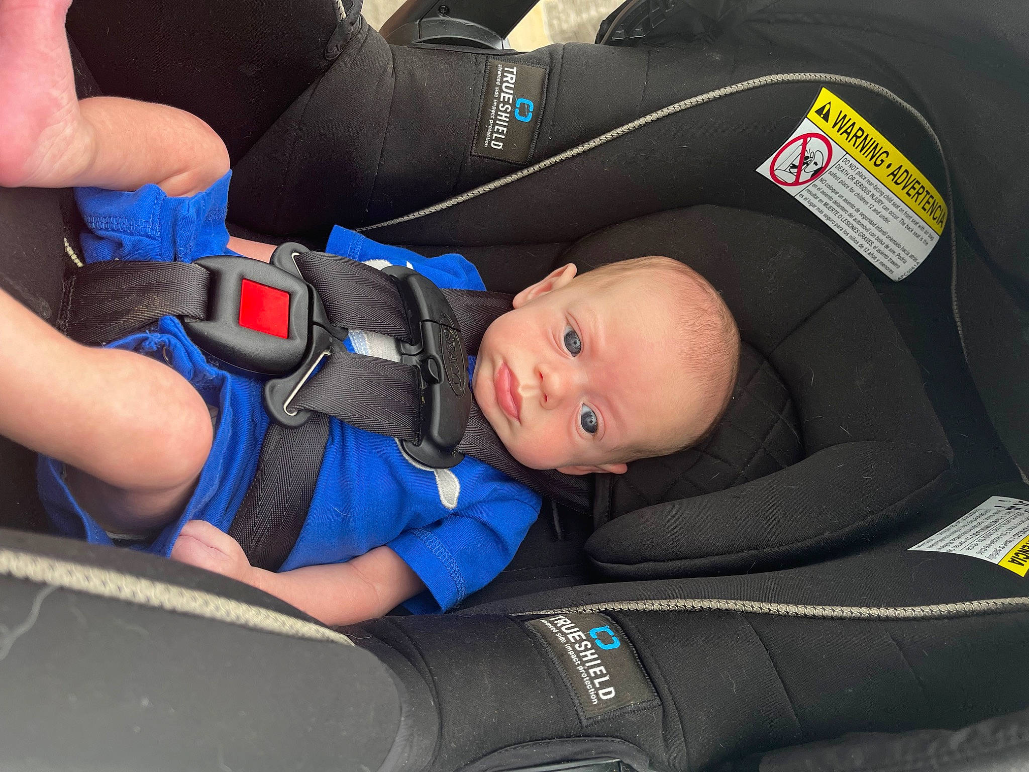 Cole is registered to the contest to win money with this photo: auto_part, baby_products, blue, car_seat, car_seat_cover, child, comfort, elbow, electric_blue, face, family_car, head_restraint, human_body, knee, motor_vehicle, person, personal_protective_equipment, service, toddler, vehicle