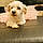 Snoopy