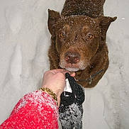 Caramel a rejoint le concours — aidez-le/la à gagner de superbes lots !