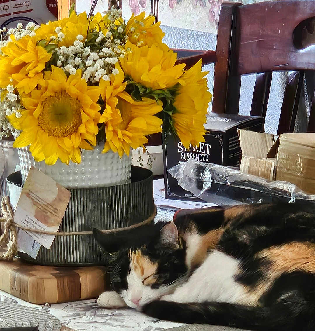 Trixy
