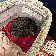 Yoyo is registered to the contest to win money with this photo: cat, tabby_cat, sleeping, bassinet, baby_bassinet, blanket, towel, red_cloth, mesh_sides, warning_label, floor, wood_floor, apron, mickey_mouse, indoor, cozy, pet, resting, fur, animal
