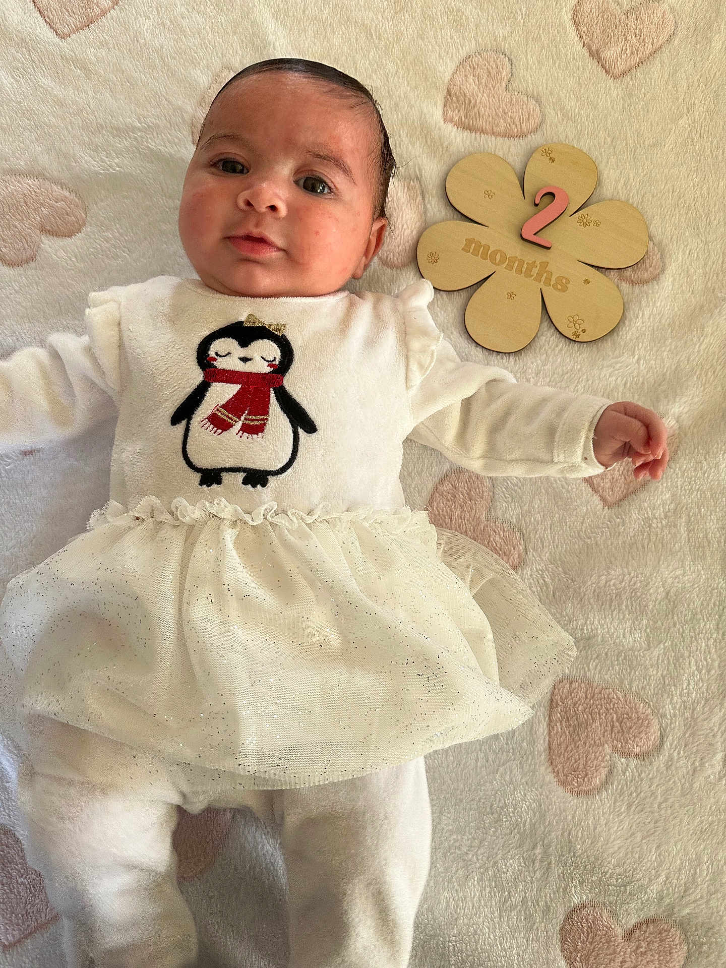 Seya a rejoint le concours — aidez-le/la à gagner de superbes lots ! baby, baby_girl, blanket, celebration, child, clothing, cute, flower_shape, heart_pattern, indoor, infant, lying_down, milestone, penguin_design, portrait, smiling, soft_texture, toddler, white_outfit, wooden_sign