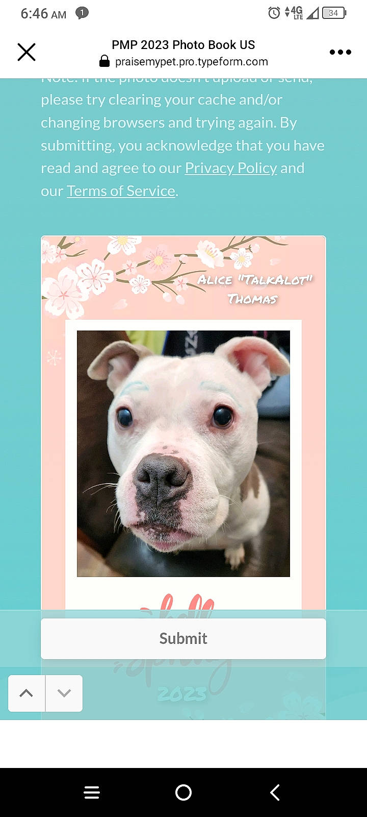 Alice is registered to the contest to win money with this photo: advertising, brand, companion_dog, design, dessert, dog, dog_breed, font, livestock, organism, pattern, photo_caption, poster, product, recipe, rectangle, snout, suidae, terrestrial_animal, working_animal