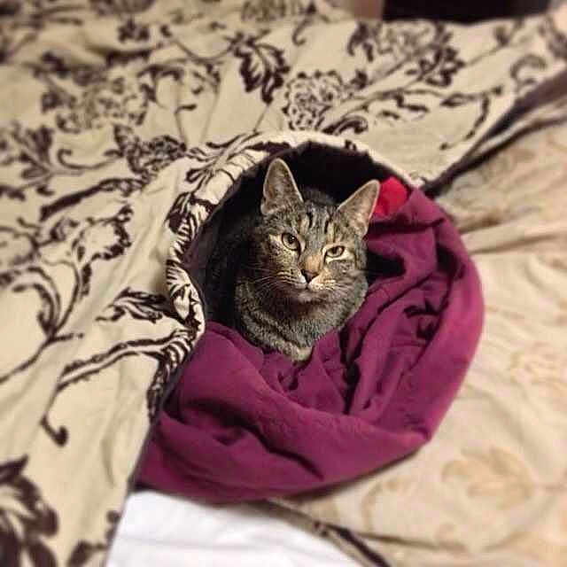 Ivy is registered to the contest to win money with this photo: