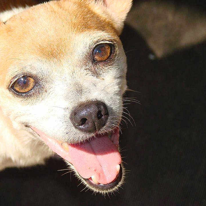 Bambi joined the competition — help win amazing prizes!