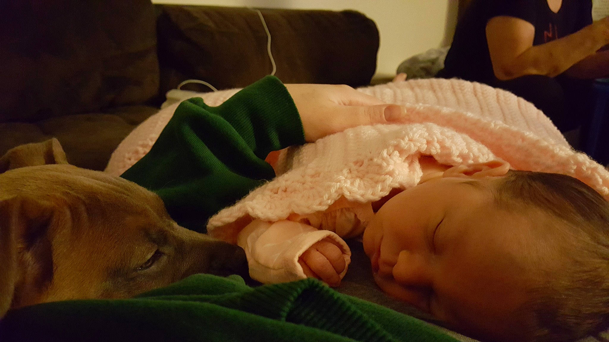 Carlie joined the competition — help win amazing prizes! baby, baby_toddler_clothing, bedtime, carnivore, child, comfort, companion_dog, couch, dog, flesh, grass, linens, mouth, nap, nose, person, room, skin, sleep, toddler