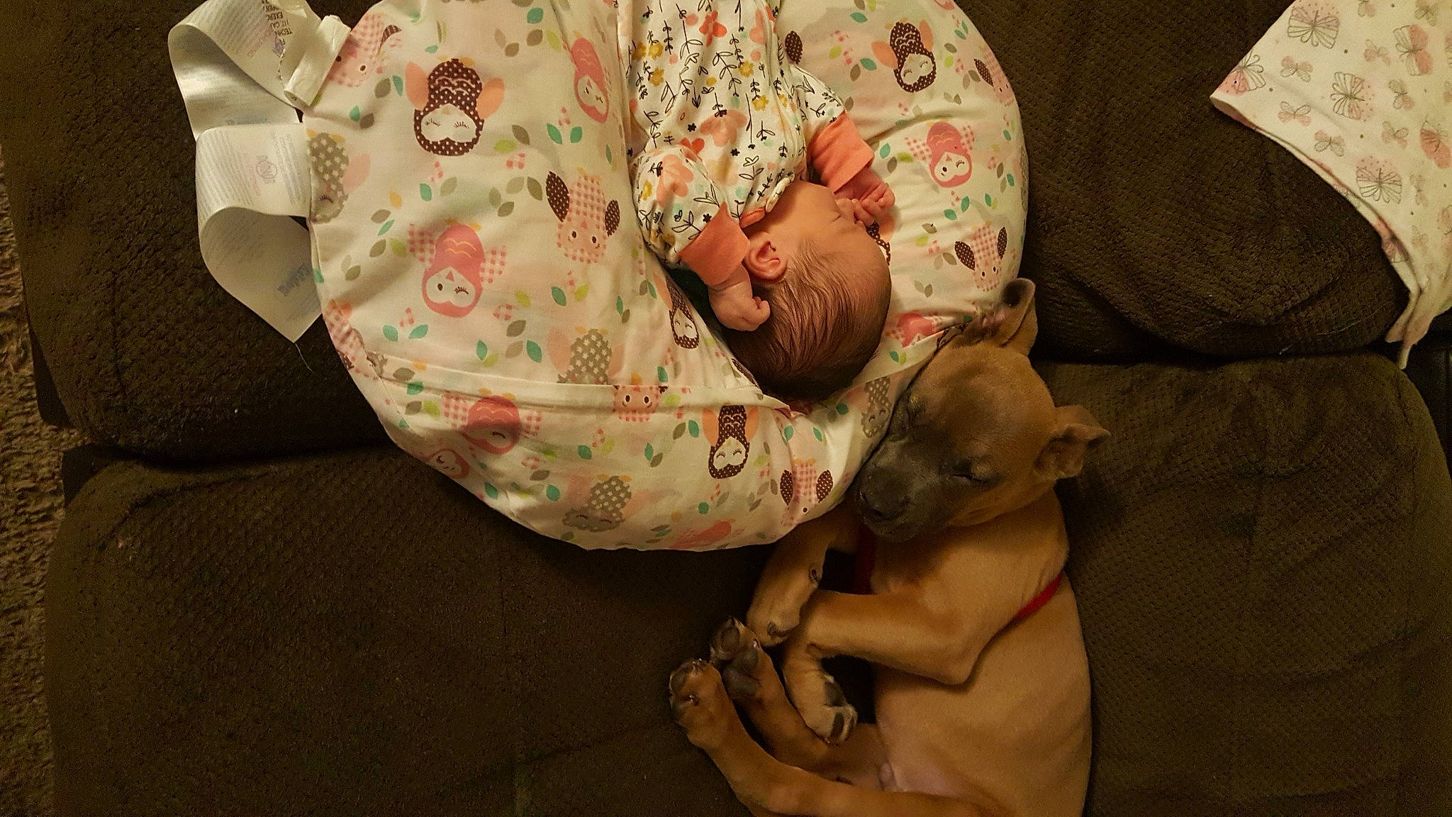 Carlie joined the competition — help win amazing prizes! abdomen, baby, baby_products, baby_sleeping, baby_toddler_clothing, bedtime, cheek, child, comfort, head, human_body, leg, linens, nap, pattern, person, room, skin, sleeve, textile