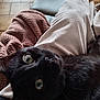 black_cat, cat, pet, animal, green_eyes, close_up, lap, blanket, cozy, feline, indoor, relaxed, soft_texture, fur, person_lap, home, comfort, resting, domestic_animal, cute