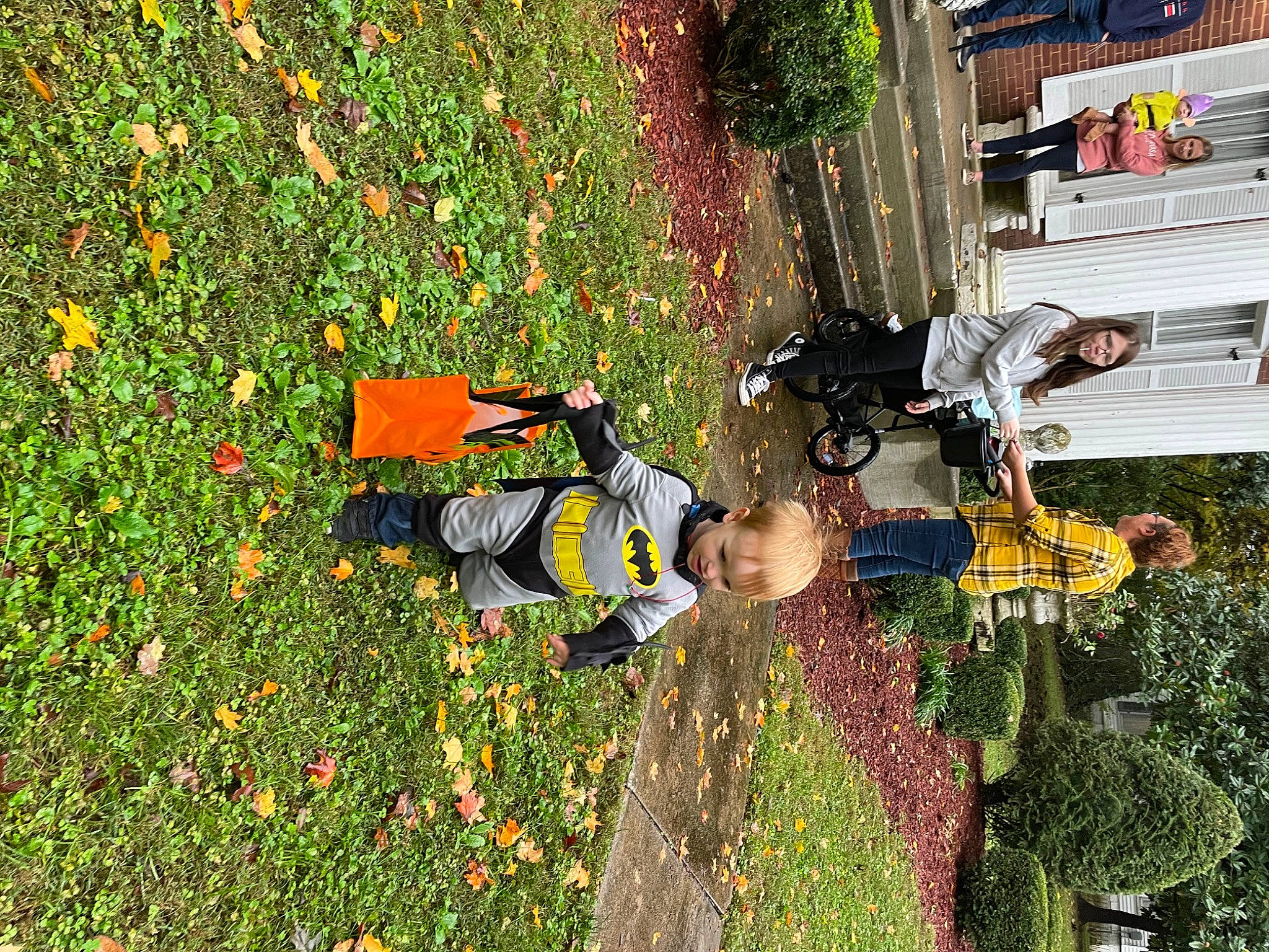 Tyler is registered to the contest to win money with this photo: annual_plant, baby, biome, deciduous, flower, fun, garden, grass, groundcover, joy, landscape, leisure, people_in_nature, person, plant, play, recreation, shrub, toddler, tree