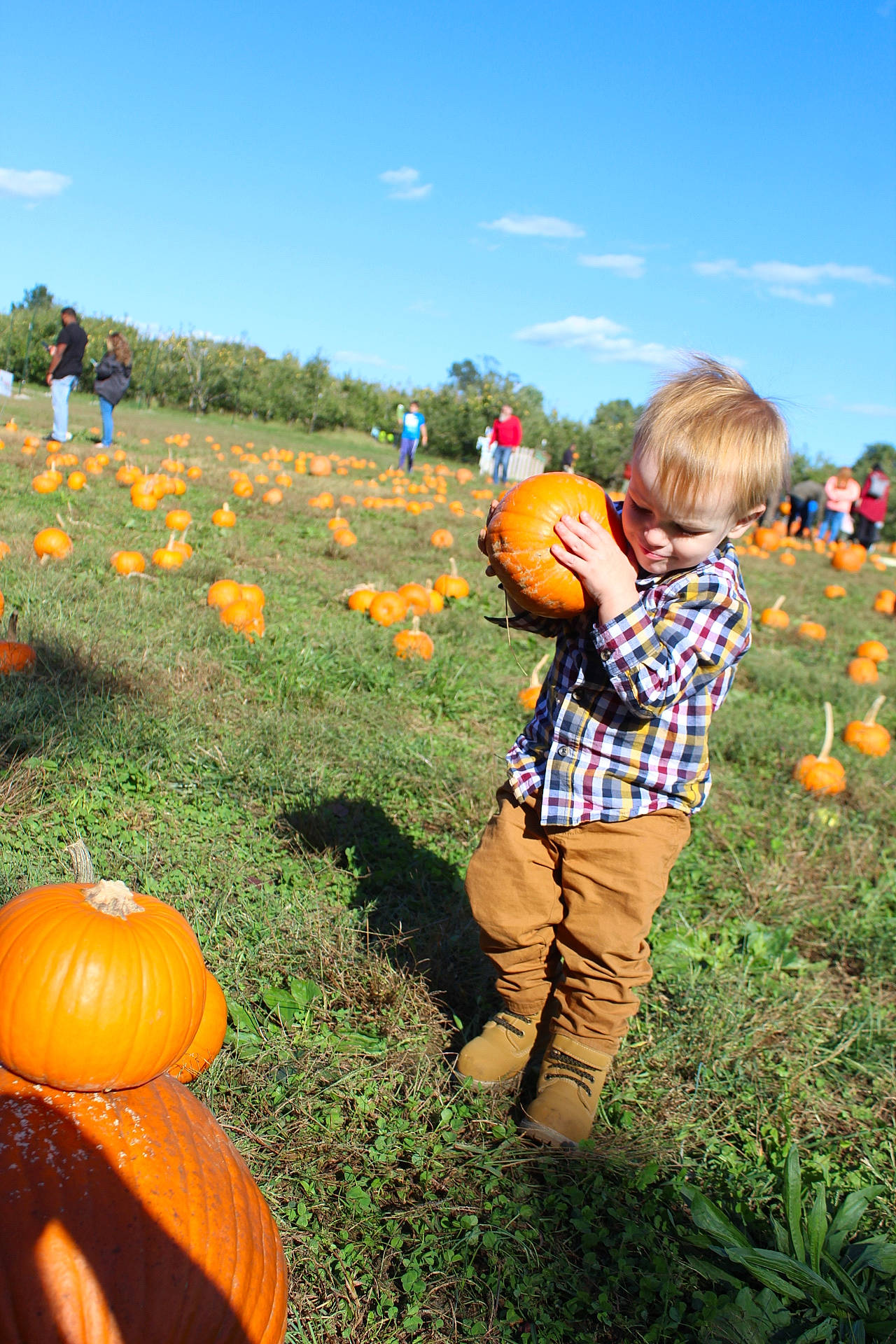 Tyler joined the competition — help win amazing prizes! agriculture, calabaza, cloud, cucurbita, field, gourd, grass, grassland, happy, natural_foods, people_in_nature, person, plant, prairie, pumpkin, sky, squash, toddler, tree, vegetable