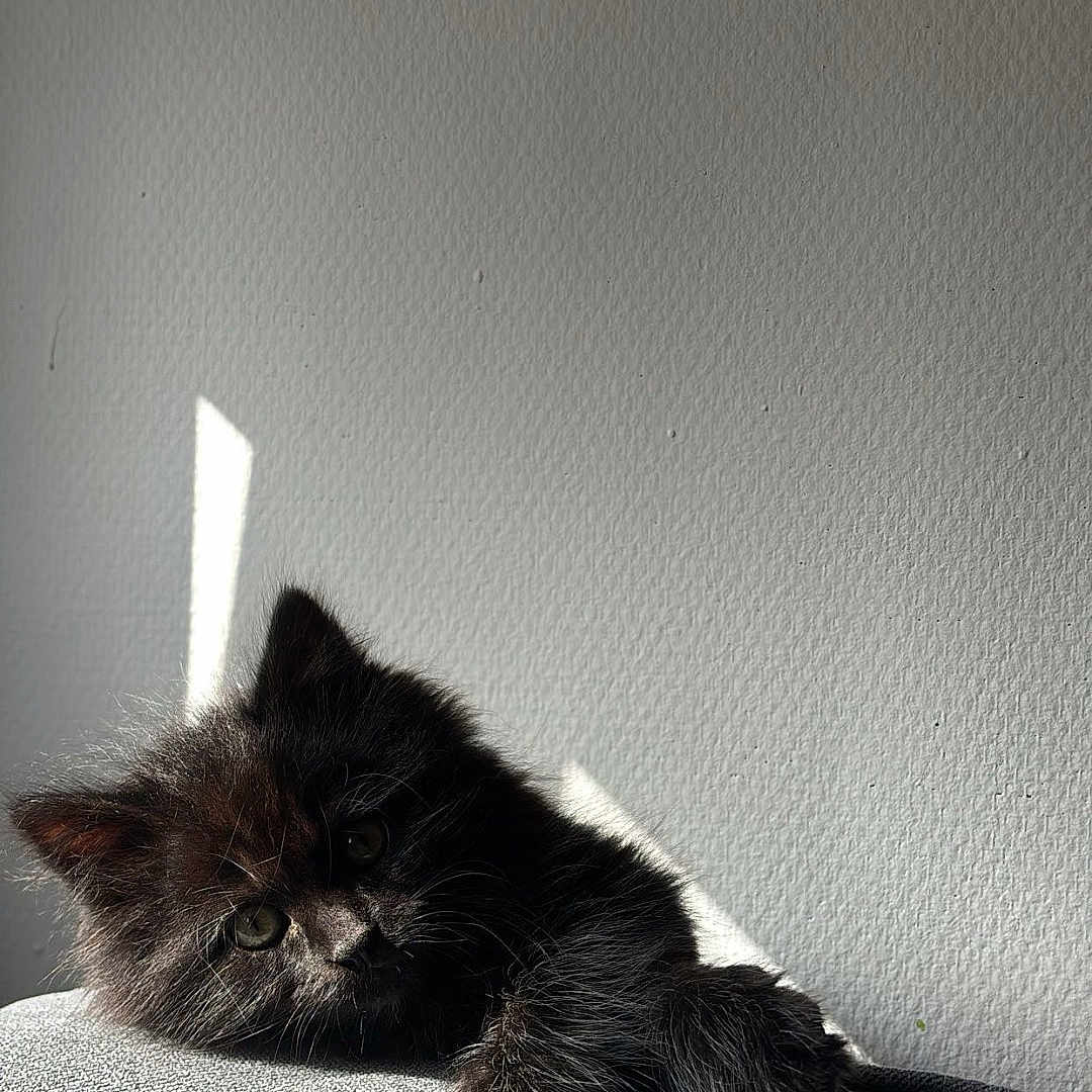 Billy