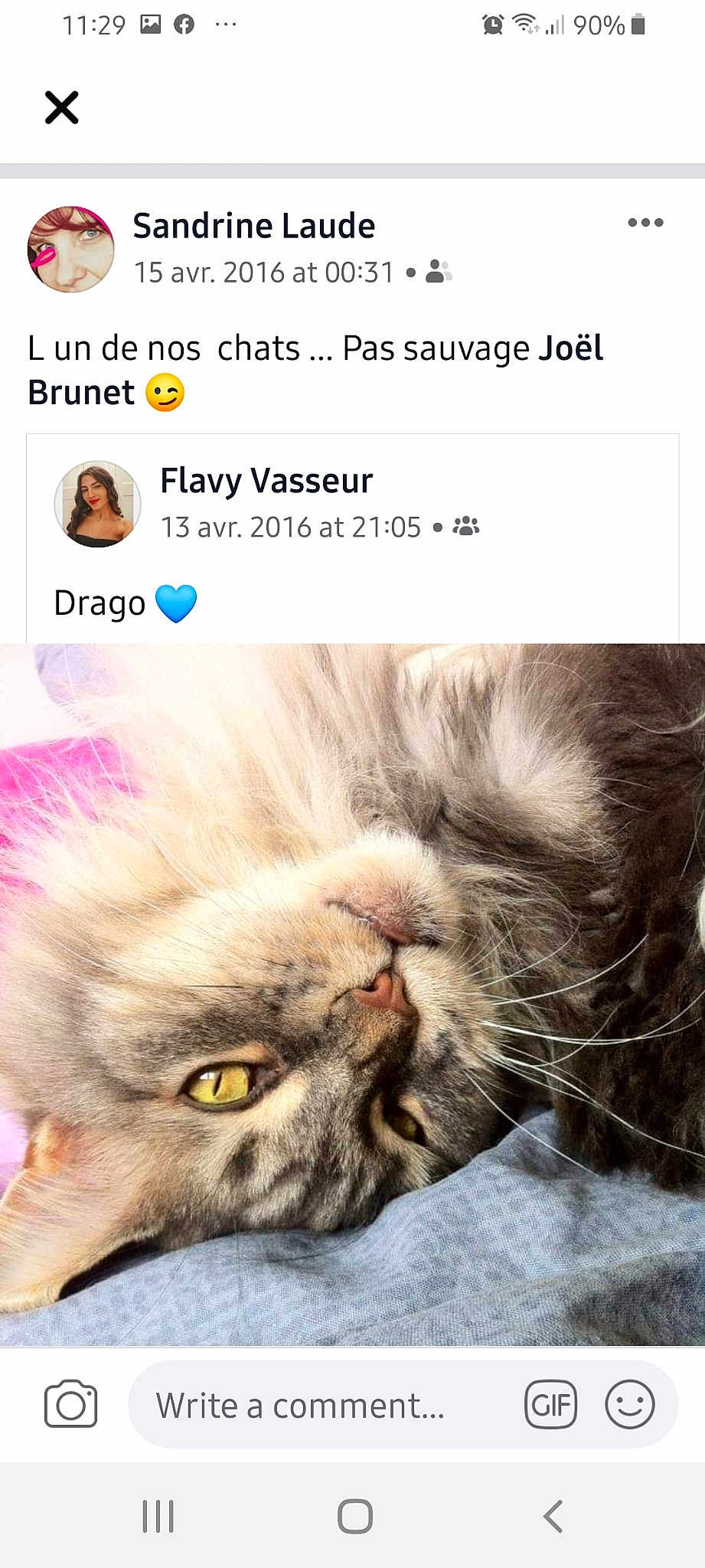 Drago