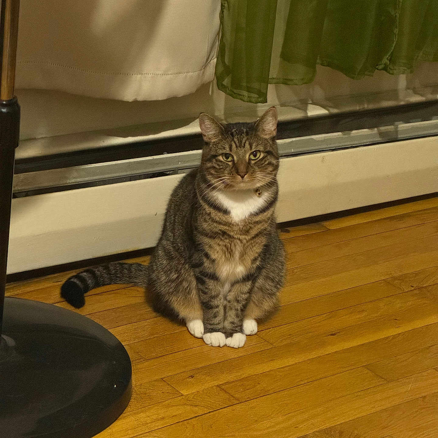 Venus