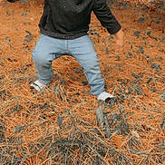 Legacy is registered to the contest to win money with this photo: toddler, child, curly_hair, black_shirt, blue_jeans, outdoor, pine_needles, leaves, nature, fall, grass, sparkle_effect, movement, playful, young_child, person, casual_clothing, daylight, cute, active