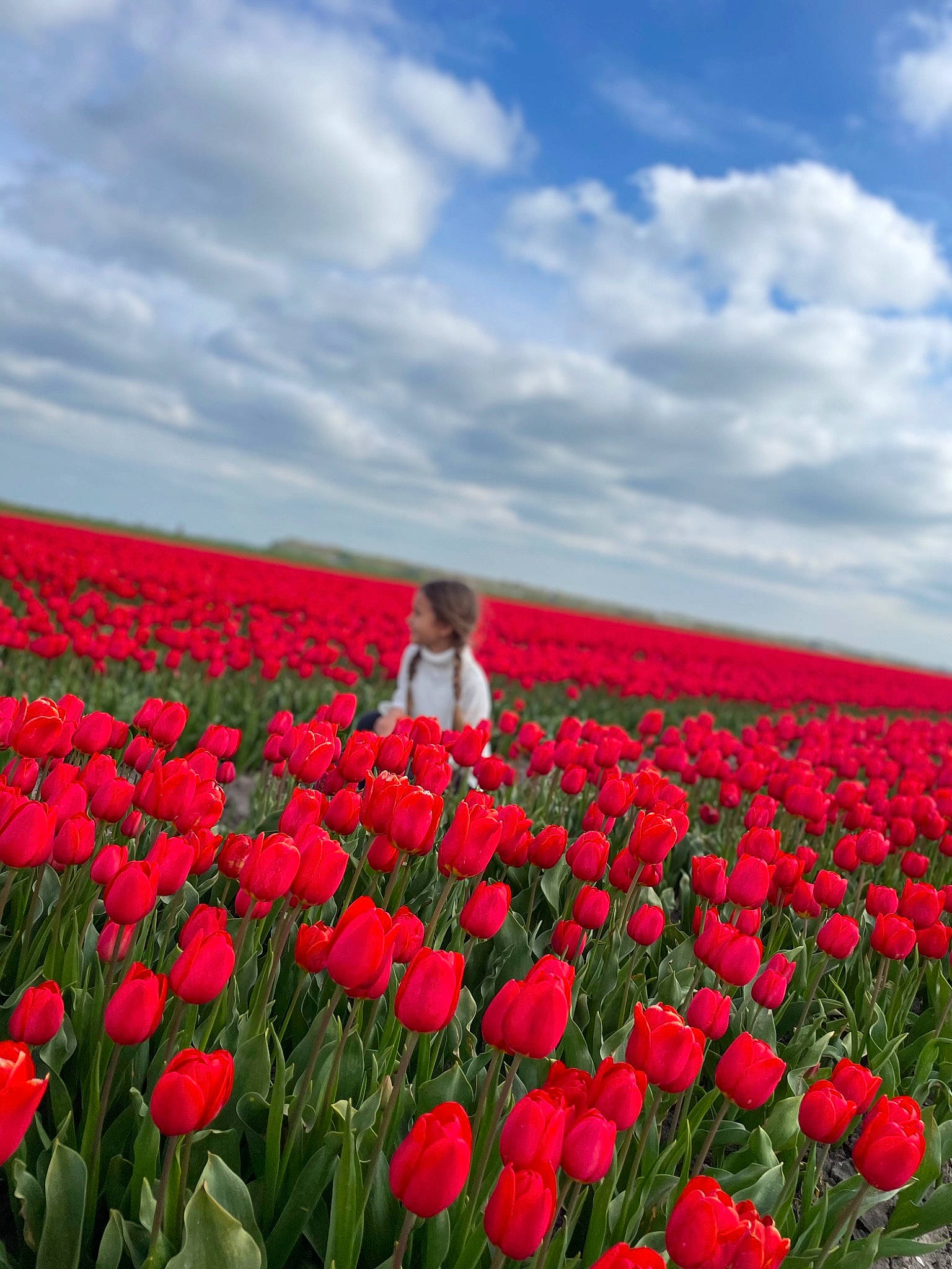 Anastasia participe au concours pour gagner de l'argent avec cette photo : agriculture, annual_plant, blurred, cloud, ecoregion, flower, flowering_plant, grass, grass_family, grassland, groundcover, herbaceous_plant, landscape, meadow, natural_environment, natural_landscape, people_in_nature, person, petal, plant