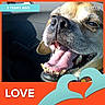 Tanner is registered to the contest to win money with this photo: