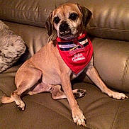 Tanner is registered to the contest to win money with this photo: