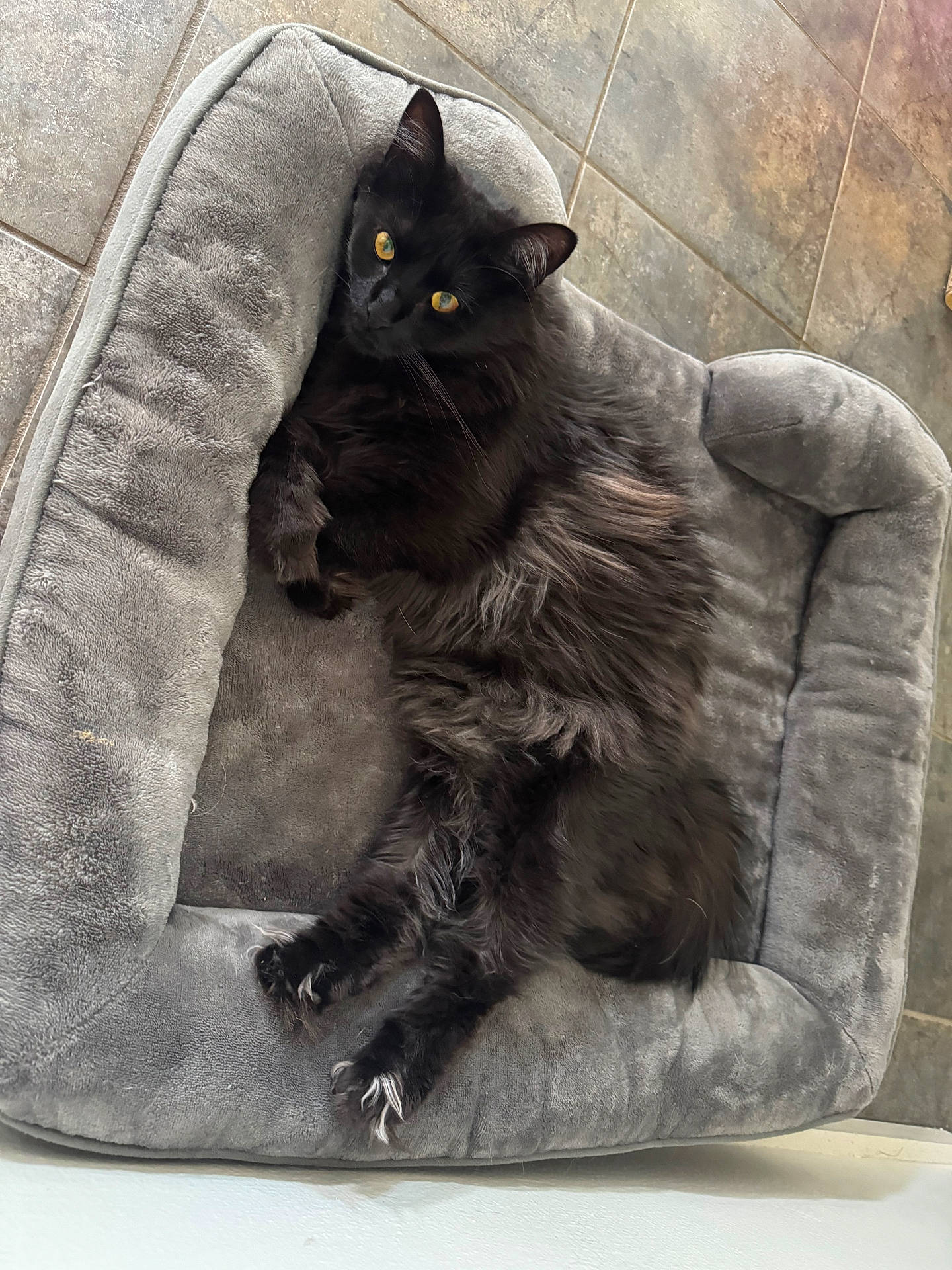 Onyx