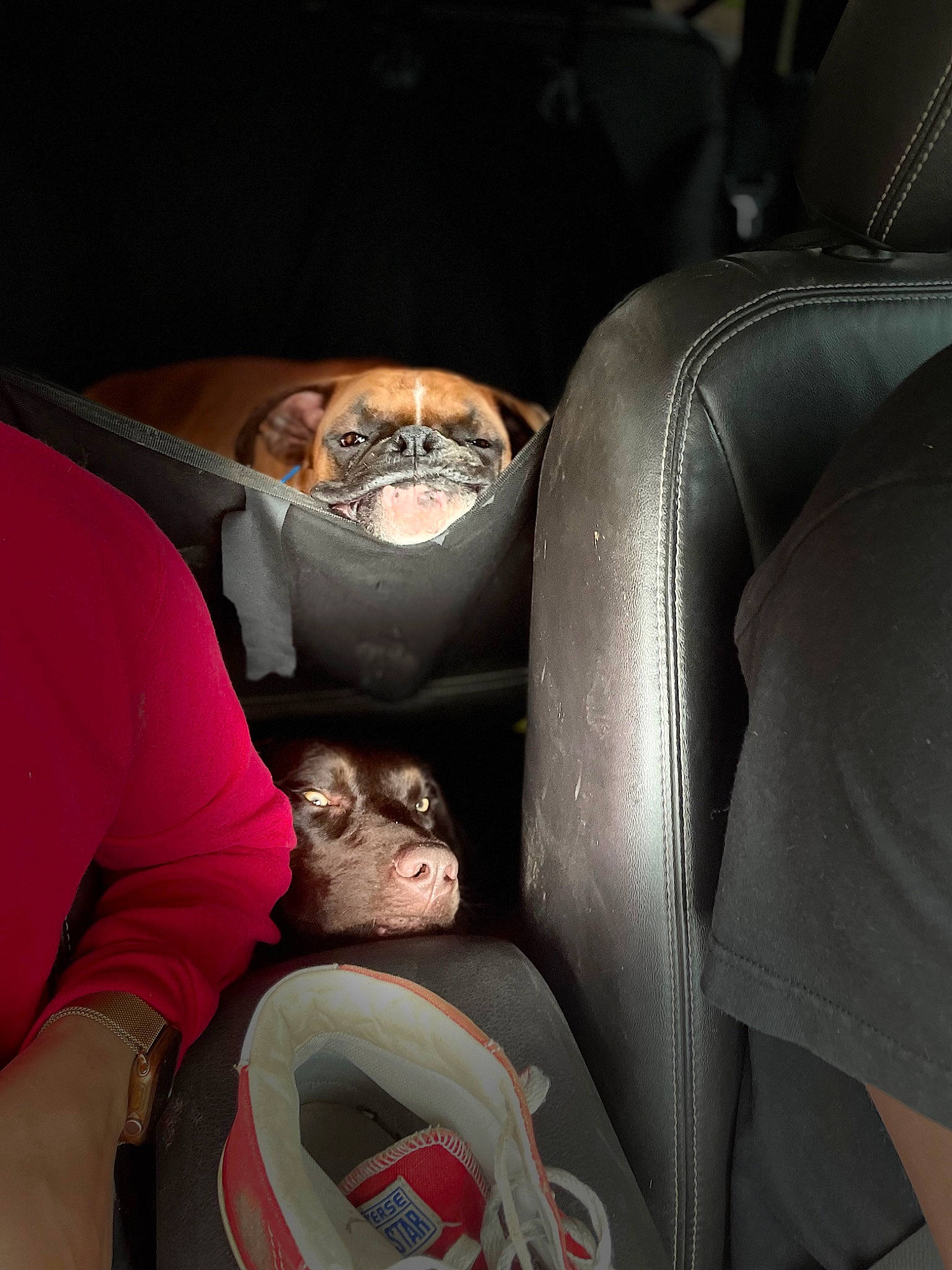 Harley is registered to the contest to win money with this photo: auto_part, automotive_design, automotive_exterior, automotive_lighting, automotive_tire, automotive_wheel_system, bumper, car, car_seat, car_seat_cover, comfort, flash_photography, head_restraint, human_leg, motor_vehicle, personal_luxury_car, steering_part, steering_wheel, vehicle_door, white