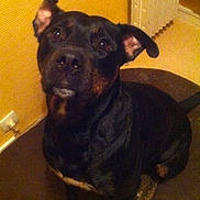 Xéna a rejoint le concours — aidez-le/la à gagner de superbes lots !