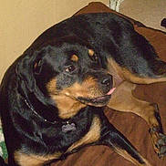 Djun participe au concours pour gagner de l'argent avec cette photo :