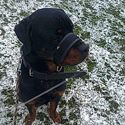 Fink participe au concours pour gagner de l'argent avec cette photo :