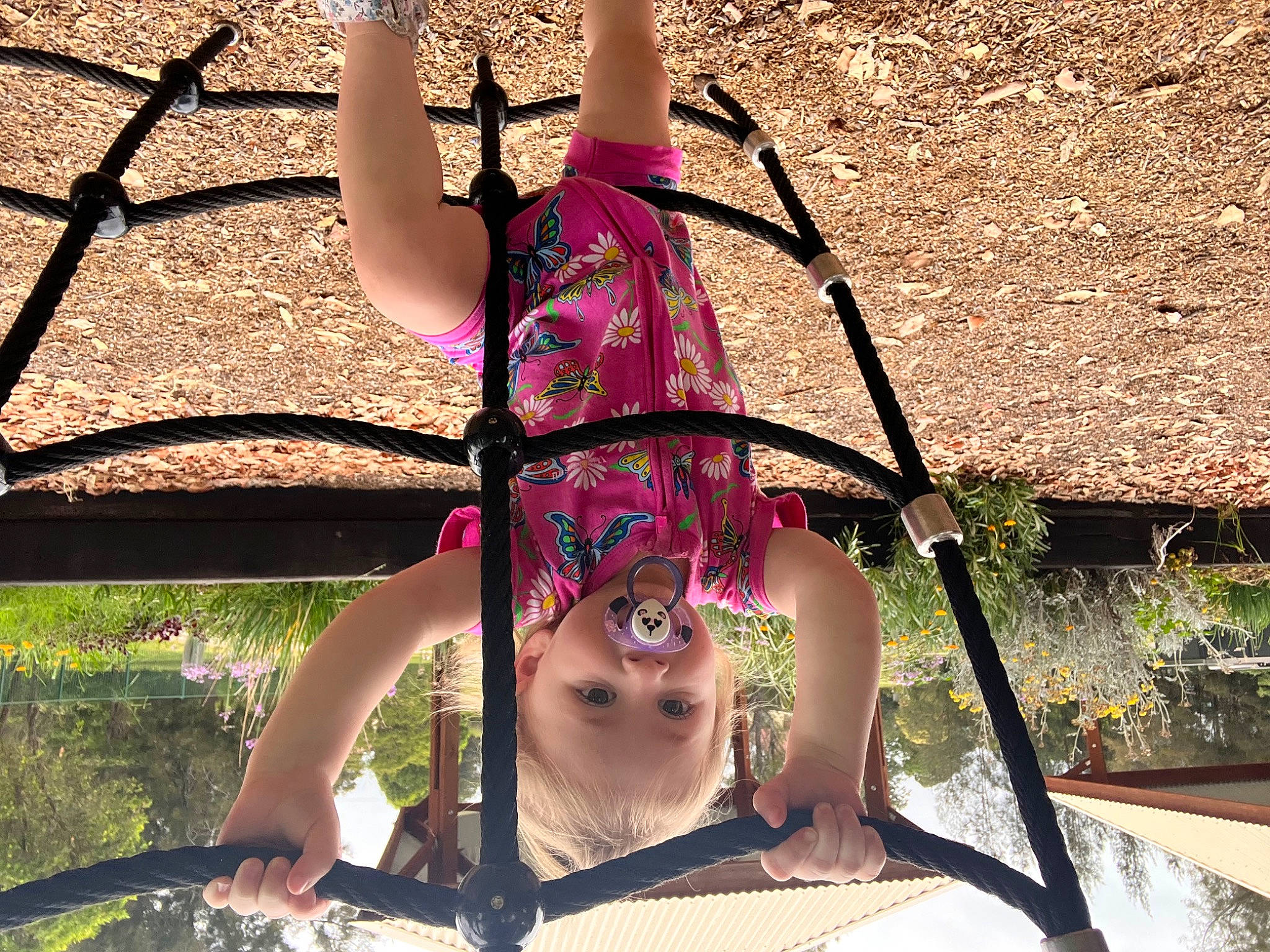 Malia is registered to the contest to win money with this photo: beauty, fun, grass, happy, human_body, leaf, leisure, light, magenta, people_in_nature, person, photograph, pink, plant, recreation, shorts, snapshot, summer, thigh, tints_and_shades