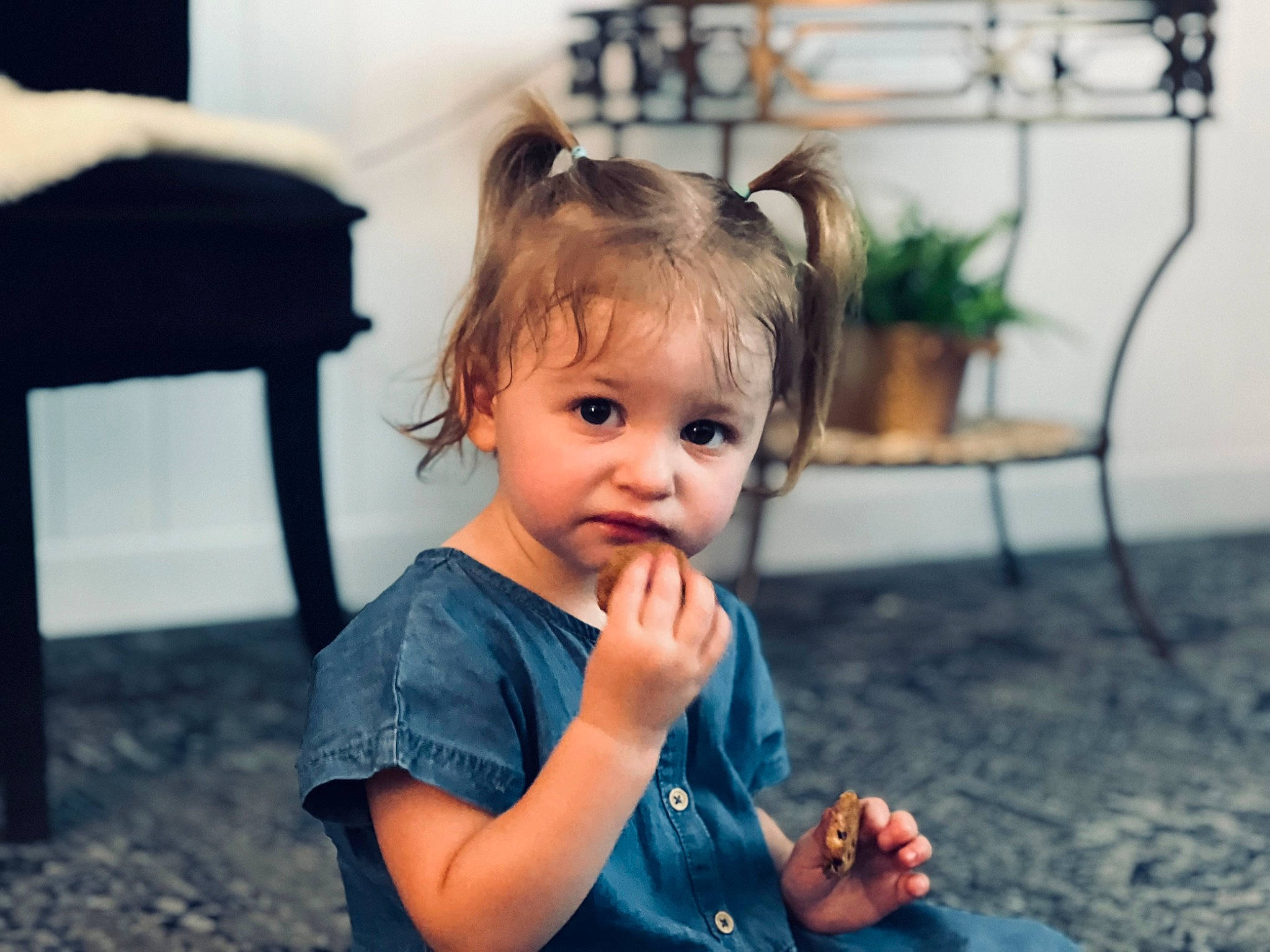 Malia is registered to the contest to win money with this photo: baby, baby_toddler_clothing, child, electric_blue, face, flash_photography, flowerpot, fun, grass, happy, houseplant, iris, leisure, person, plant, portrait_photography, sitting, t_shirt, toddler, tree