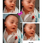 Melliana joined the competition — help win amazing prizes! adorable, baby, blanket, butterfly, child, closeup, collage, cute, doodle, face, head, heart, infant, mushroom, peaceful, portrait, sleep, sleeping, soft, wrapped