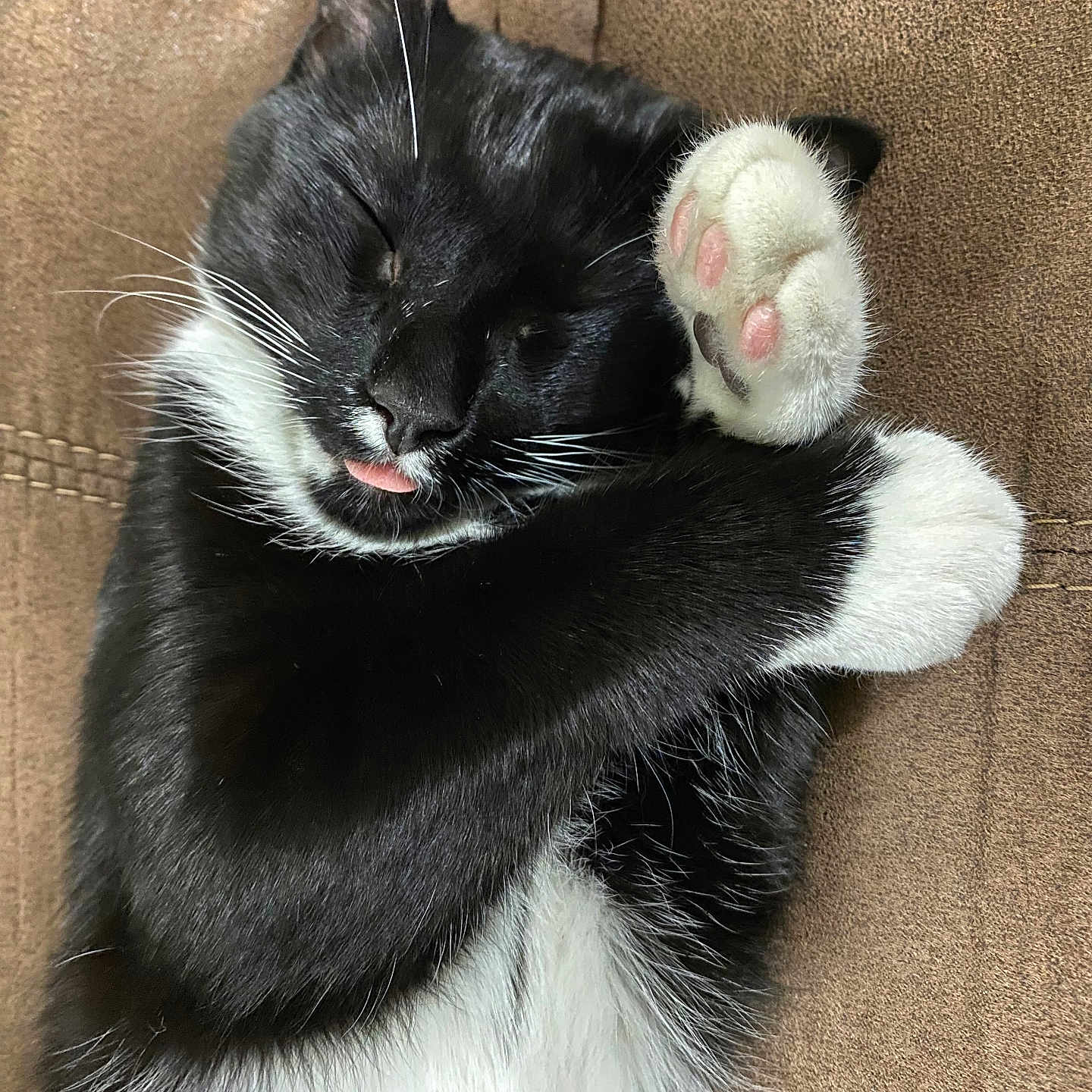 Sox