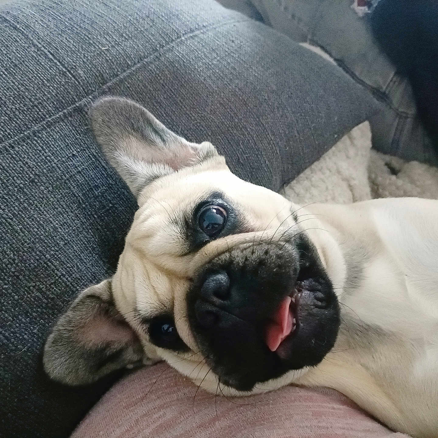 Kira