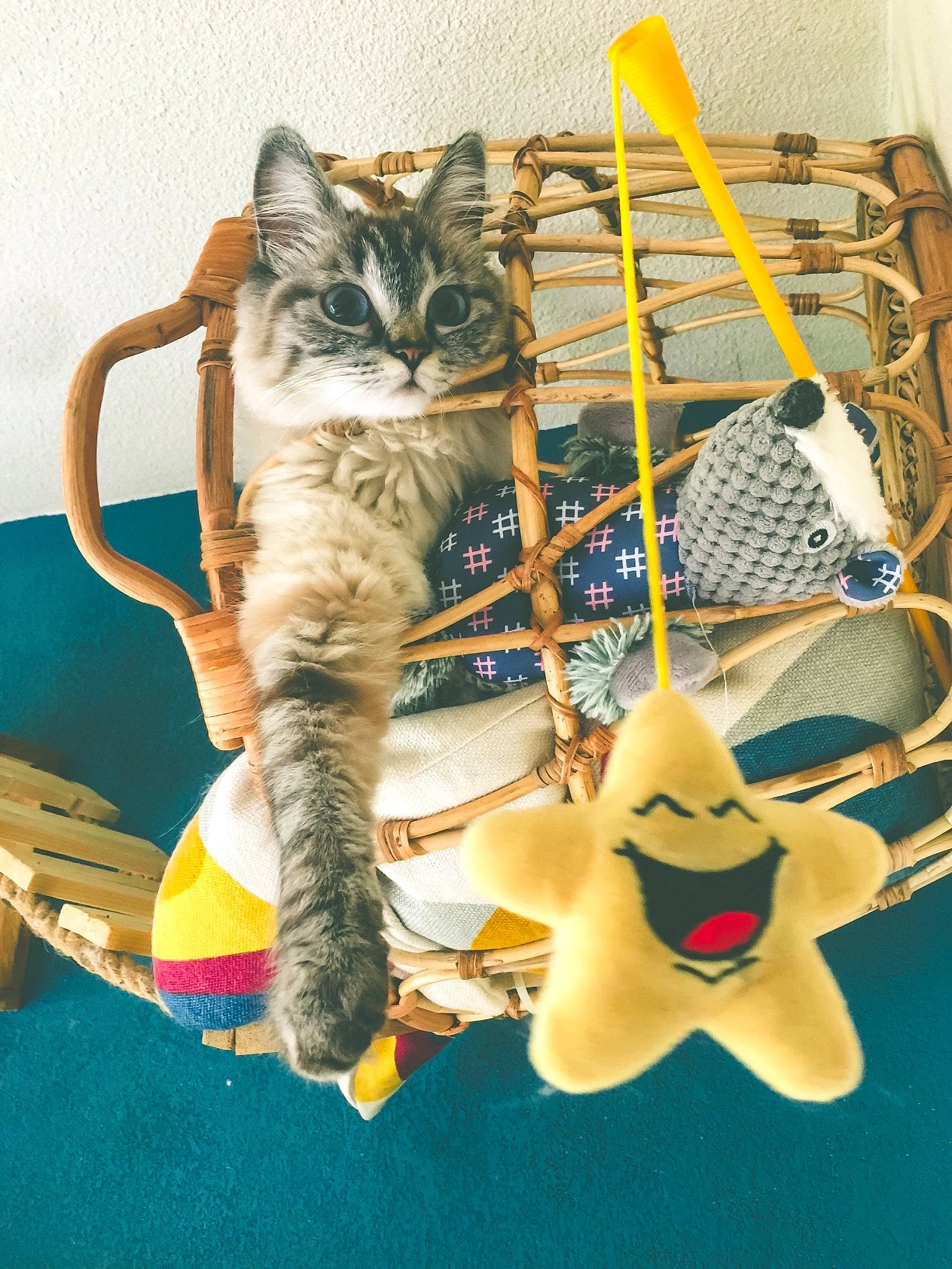 Lily a rejoint le concours — aidez-le/la à gagner de superbes lots ! art, carnivore, cat, claw, domestic_short_haired_cat, fawn, felidae, fictional_character, figurine, fur, illustration, machine, plush, small_to_medium_sized_cats, stuffed_toy, tail, textile, toy, visual_arts, whiskers