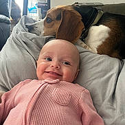 Zarriah is registered to the contest to win money with this photo: baby, beagle, blanket, cat, couch, cozy, dog, face, home_interior, indoor, infant, onesie, pet, pillow, pink_clothing, portrait, remote_control, smiling, water_bottle, window