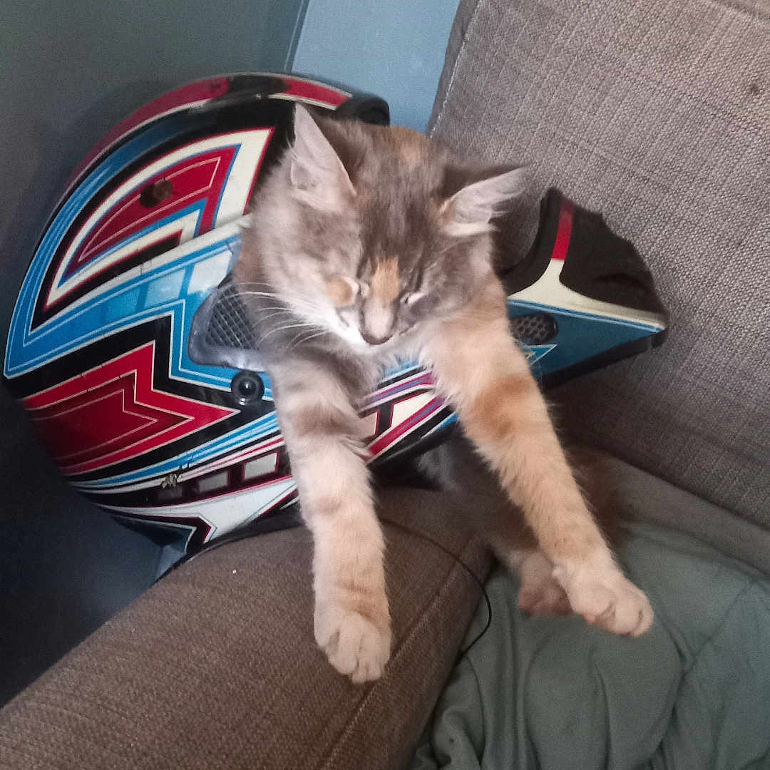 Mia